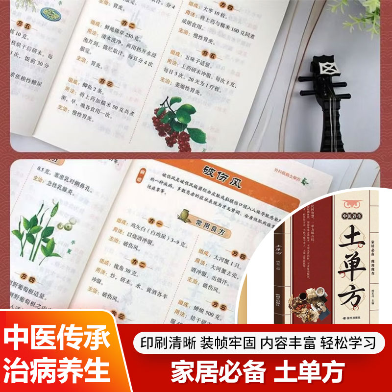 Traditional Chinese Medicine H - огляд і ціна Wellness Herbal Medicine