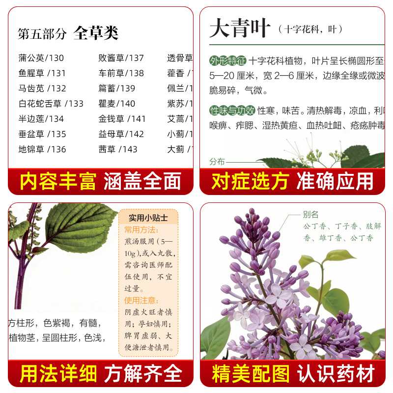 Illustrated Guide  Chinese Her - огляд і ціна Wellness Herbal Medicine